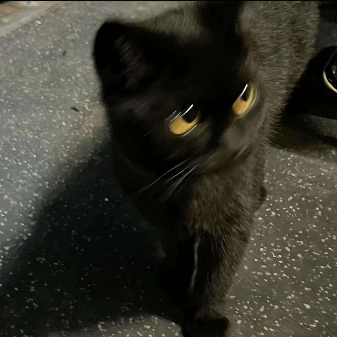 Oi……