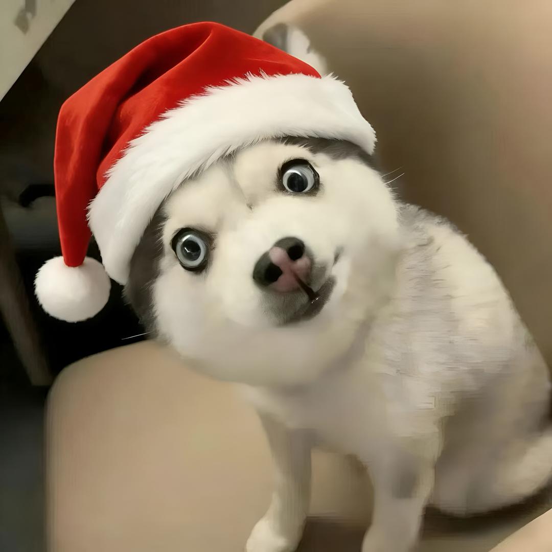 ＼\\٩( 'ω' )و //／