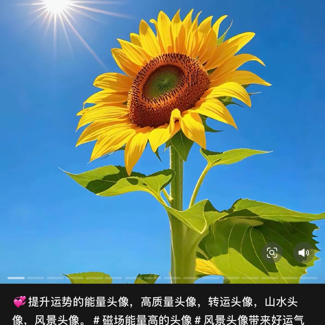 农村人