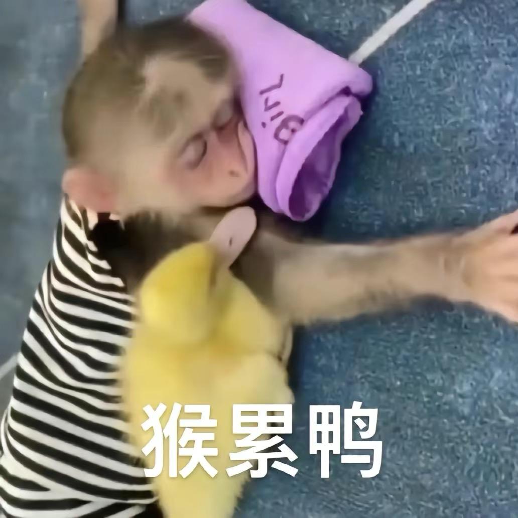 今晚要早睡    　　　　༽