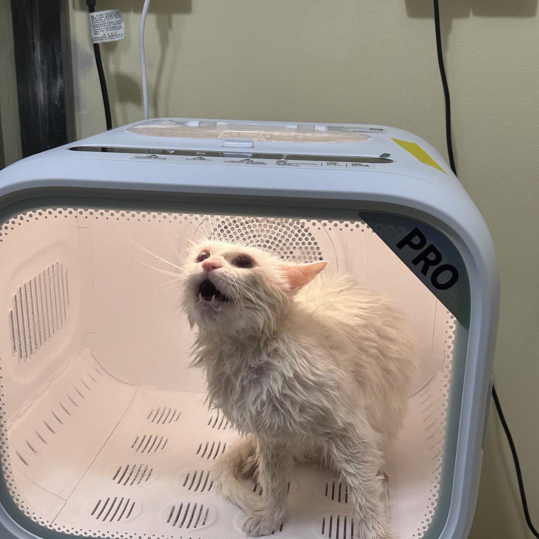 大嘴猴童装特卖