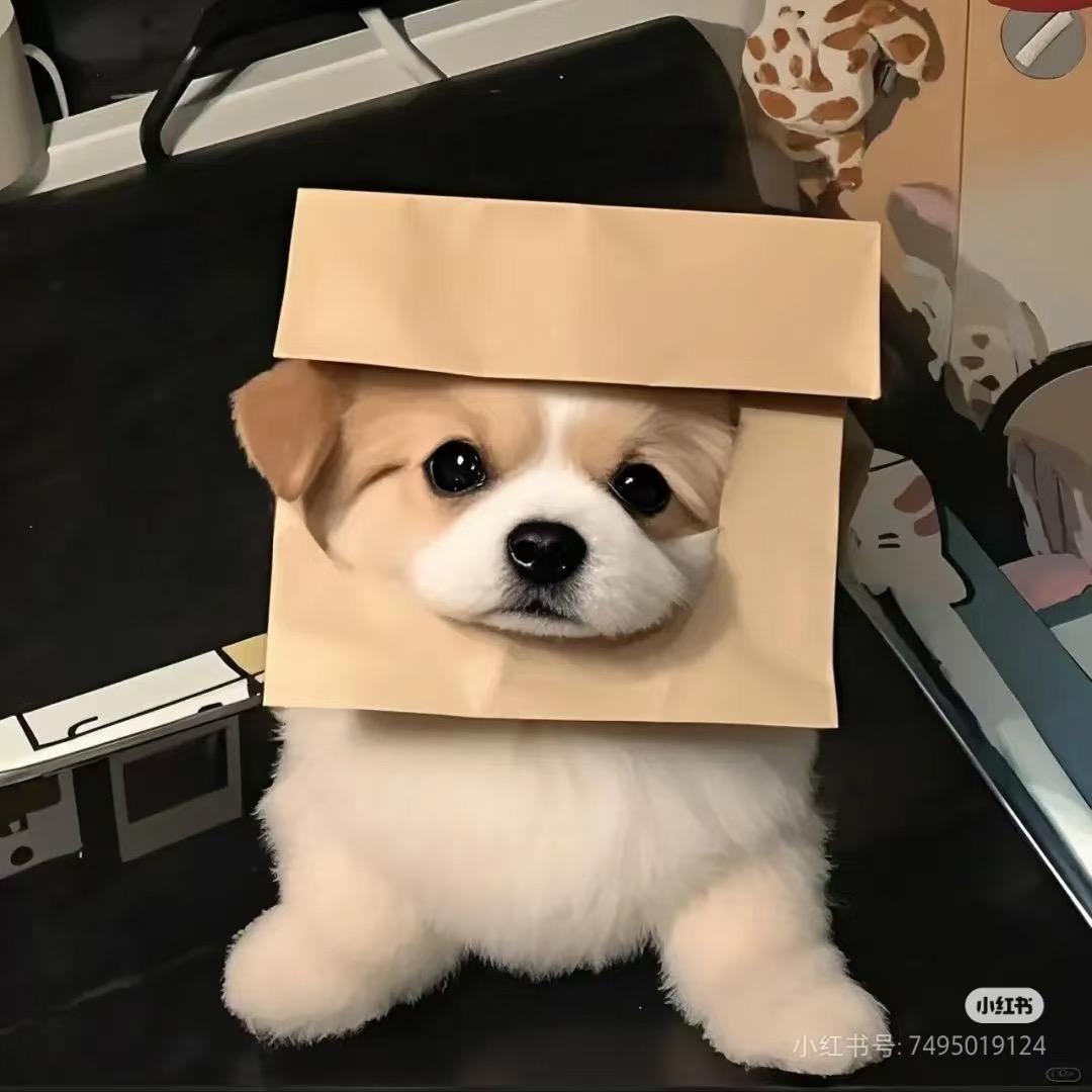 馒头片快点好不好啊