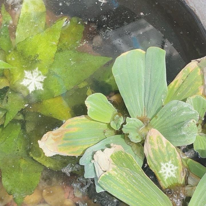 大米源头工厂