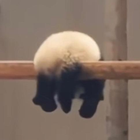🌧️无羁🫐