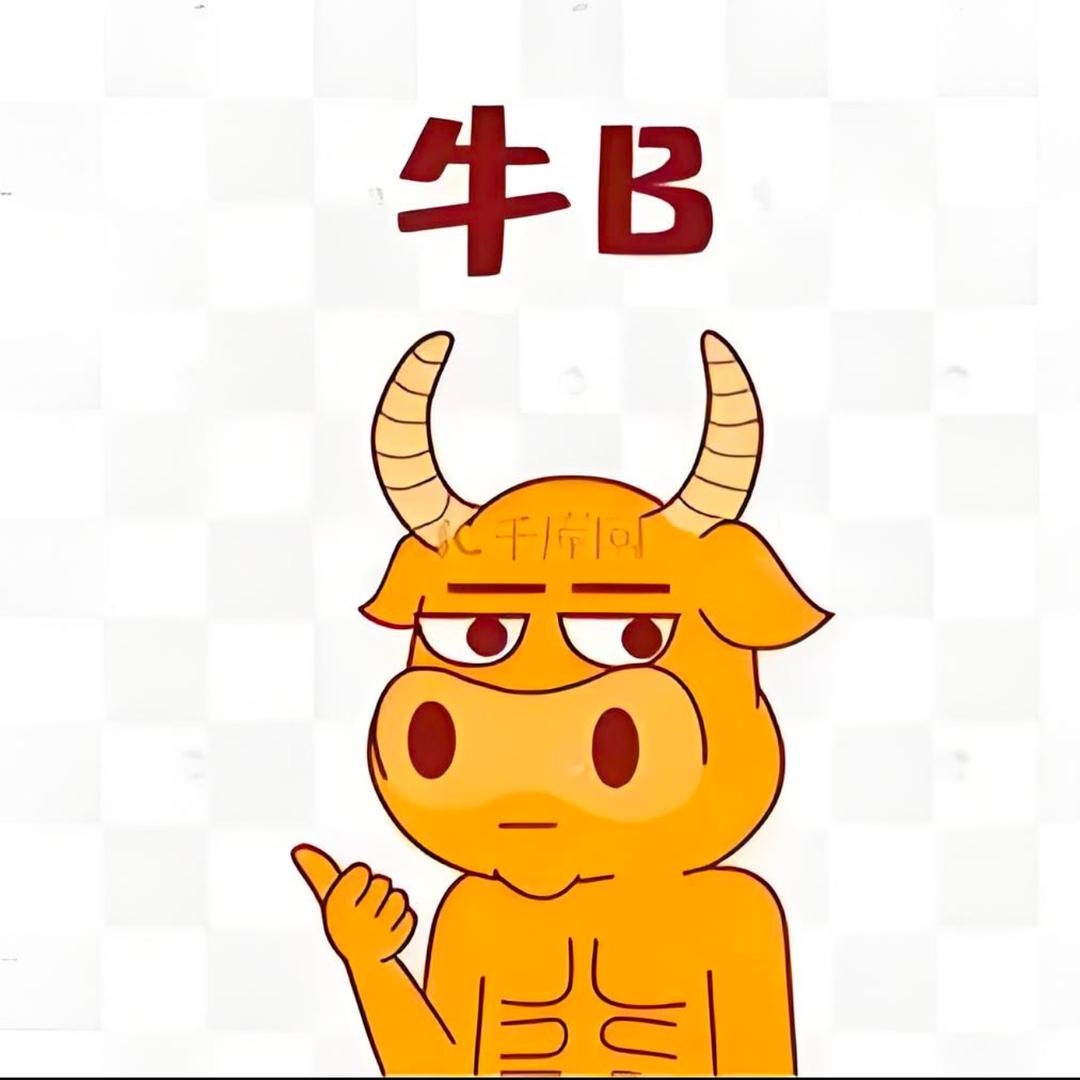大卫总裁