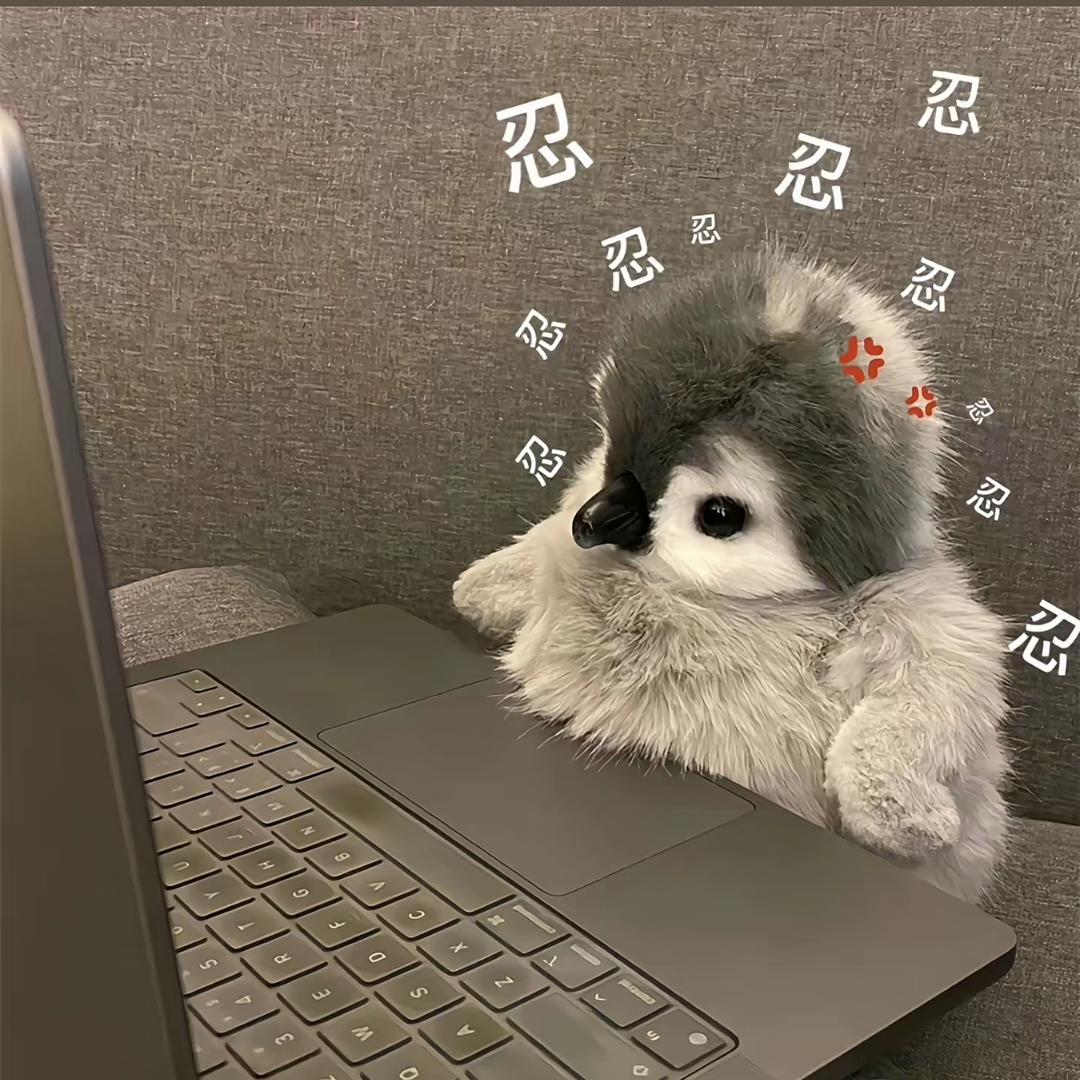 布响