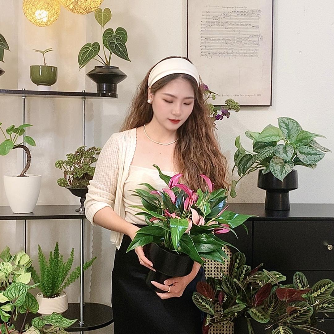 万卉园花卉