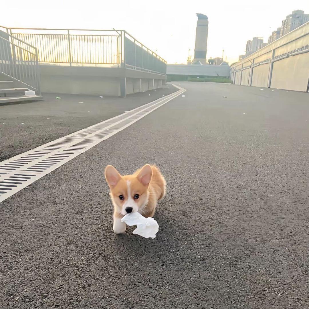 其实我讨厌上学
