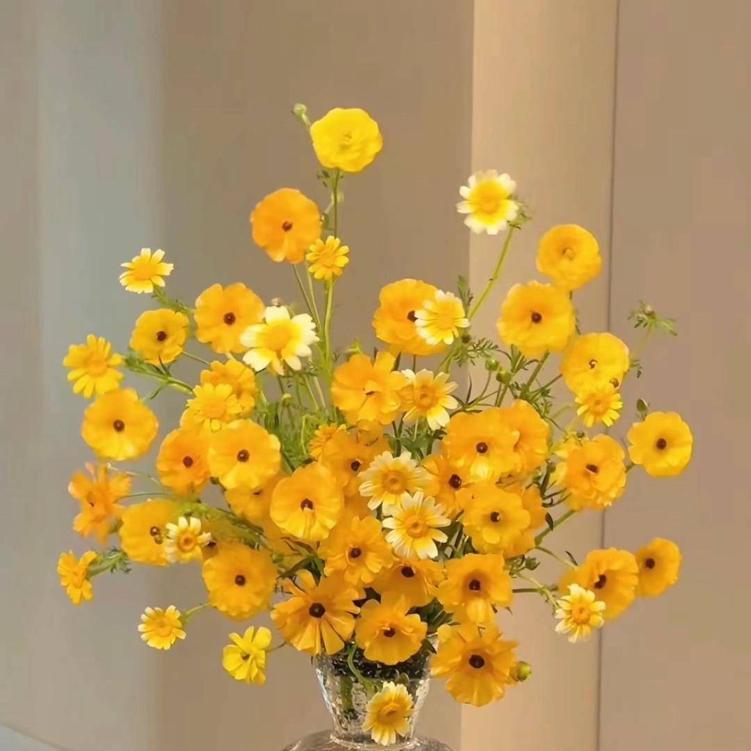 有线