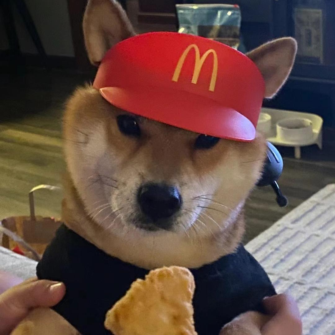 10.09