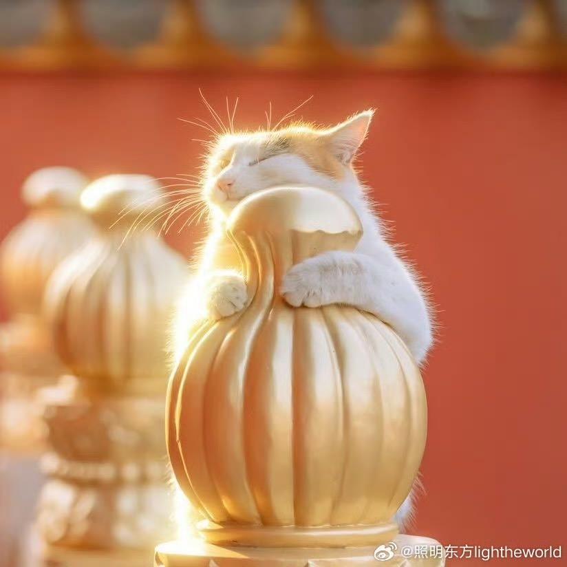 南故