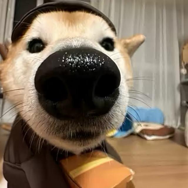 有vu份笃定看过