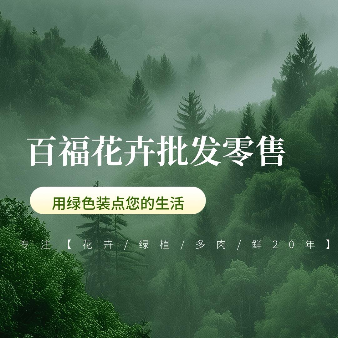 泉州百福花卉批发总店