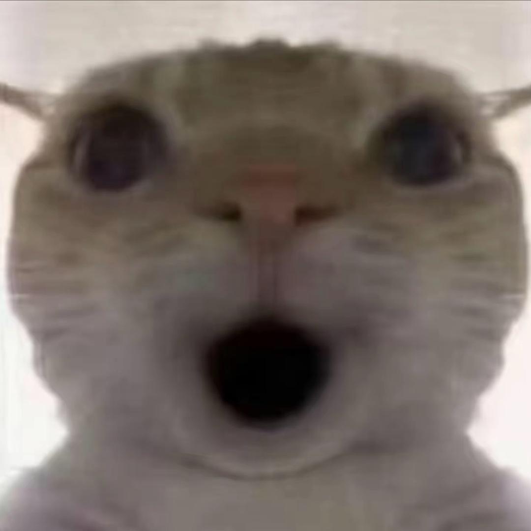 风情（三角洲行动）