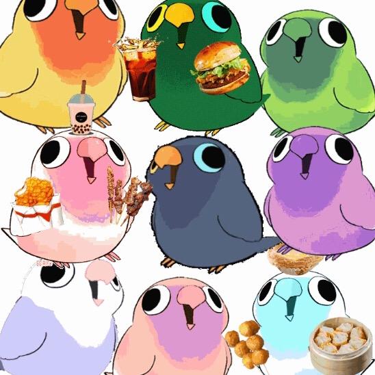 爱吃零食的游戏鸟