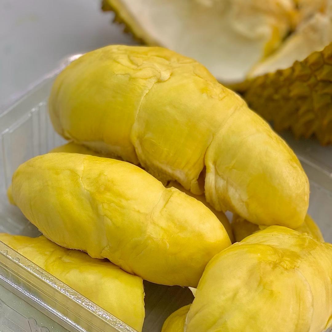榴莲小新