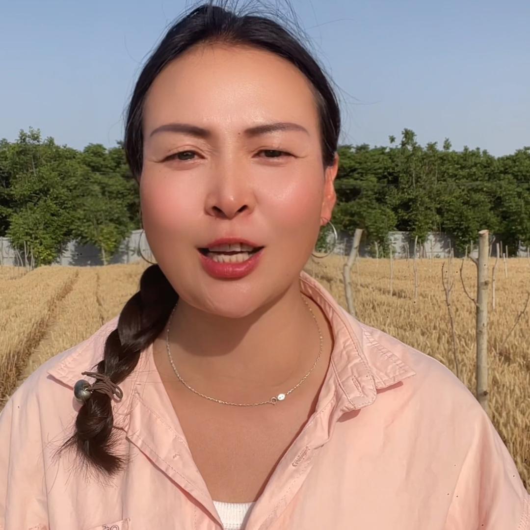 丰收君姐