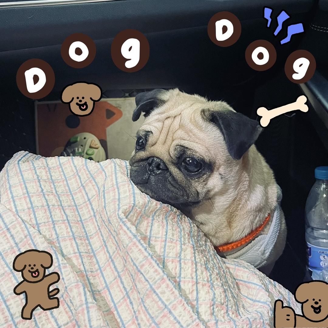小何🐿️