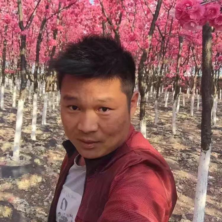 云南阿鹏