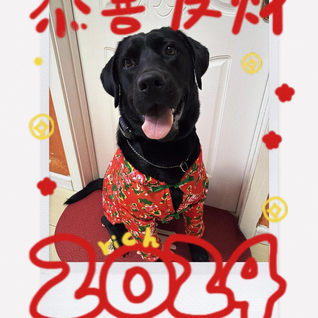 憨憨不太白