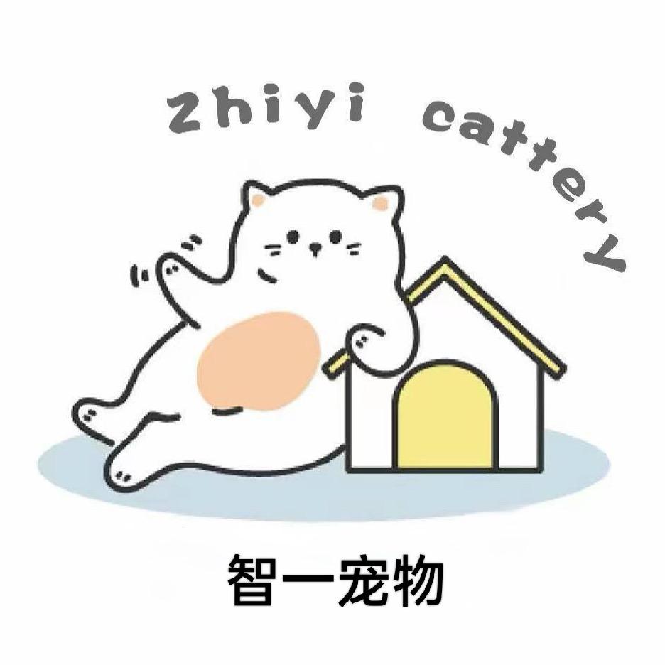 智一宠物