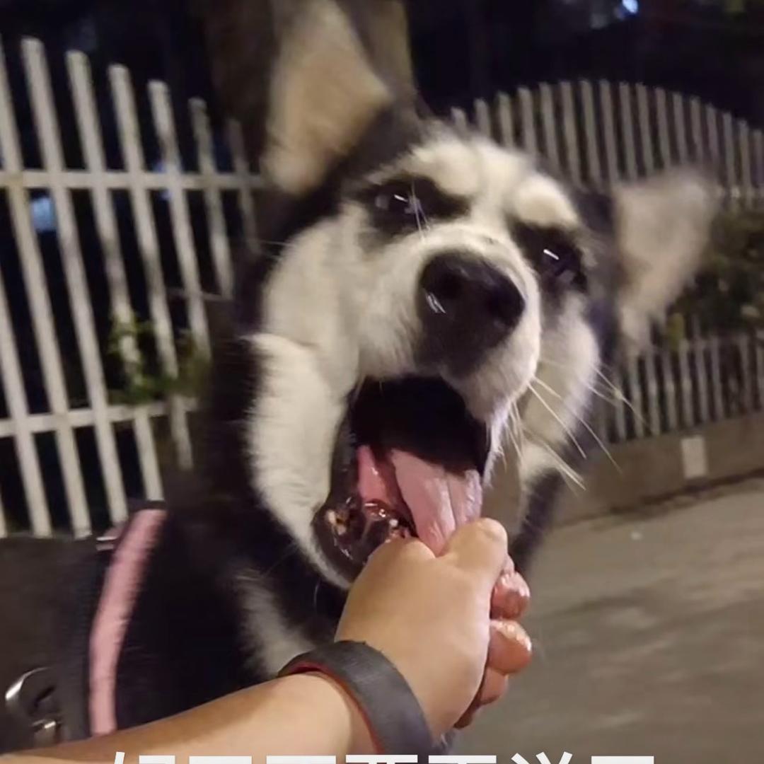 王铁锤666