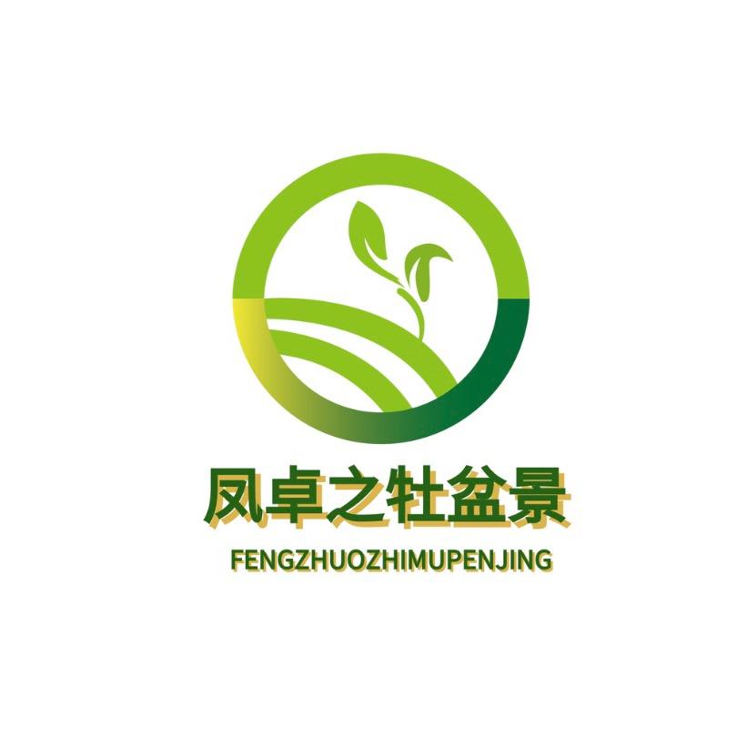 凤卓之牡盆景