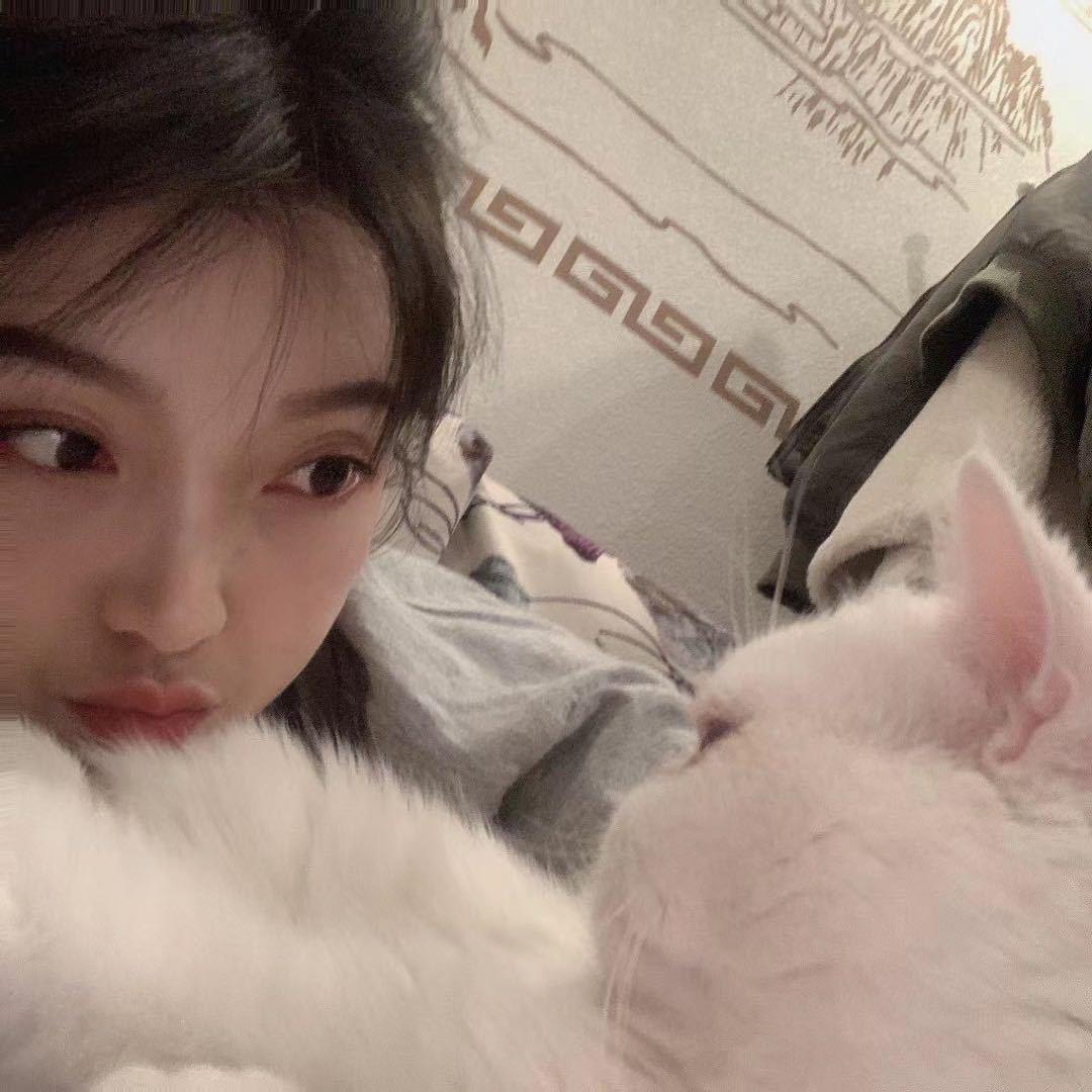 可爱的小猫咪了