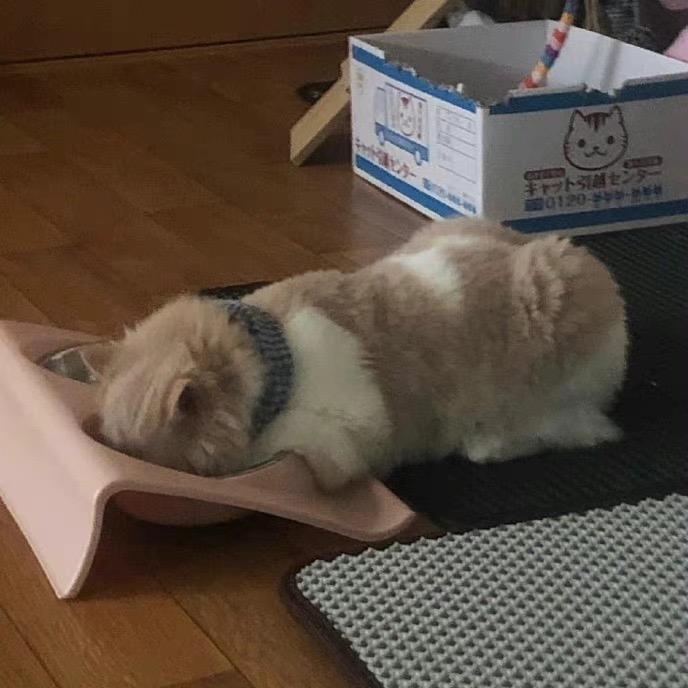 打爆你的头