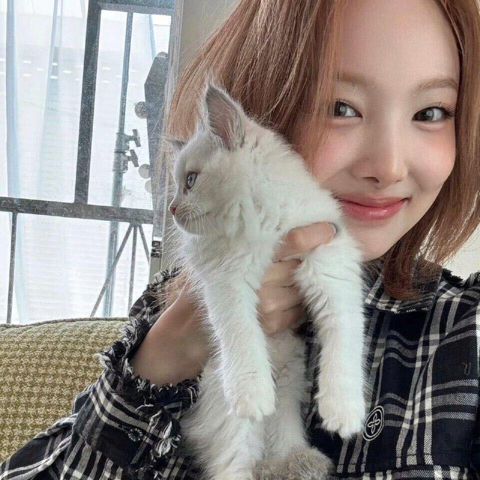 小河马的养猫日记