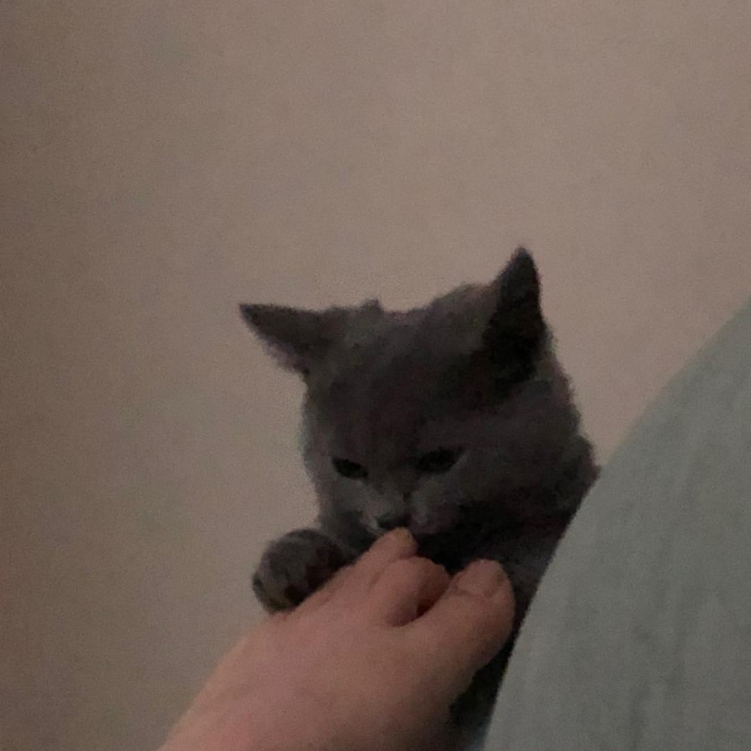 @-@