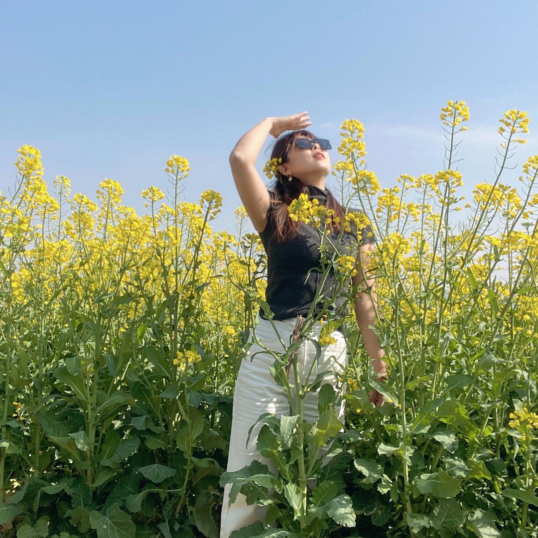 青春别样美（驾校招生）