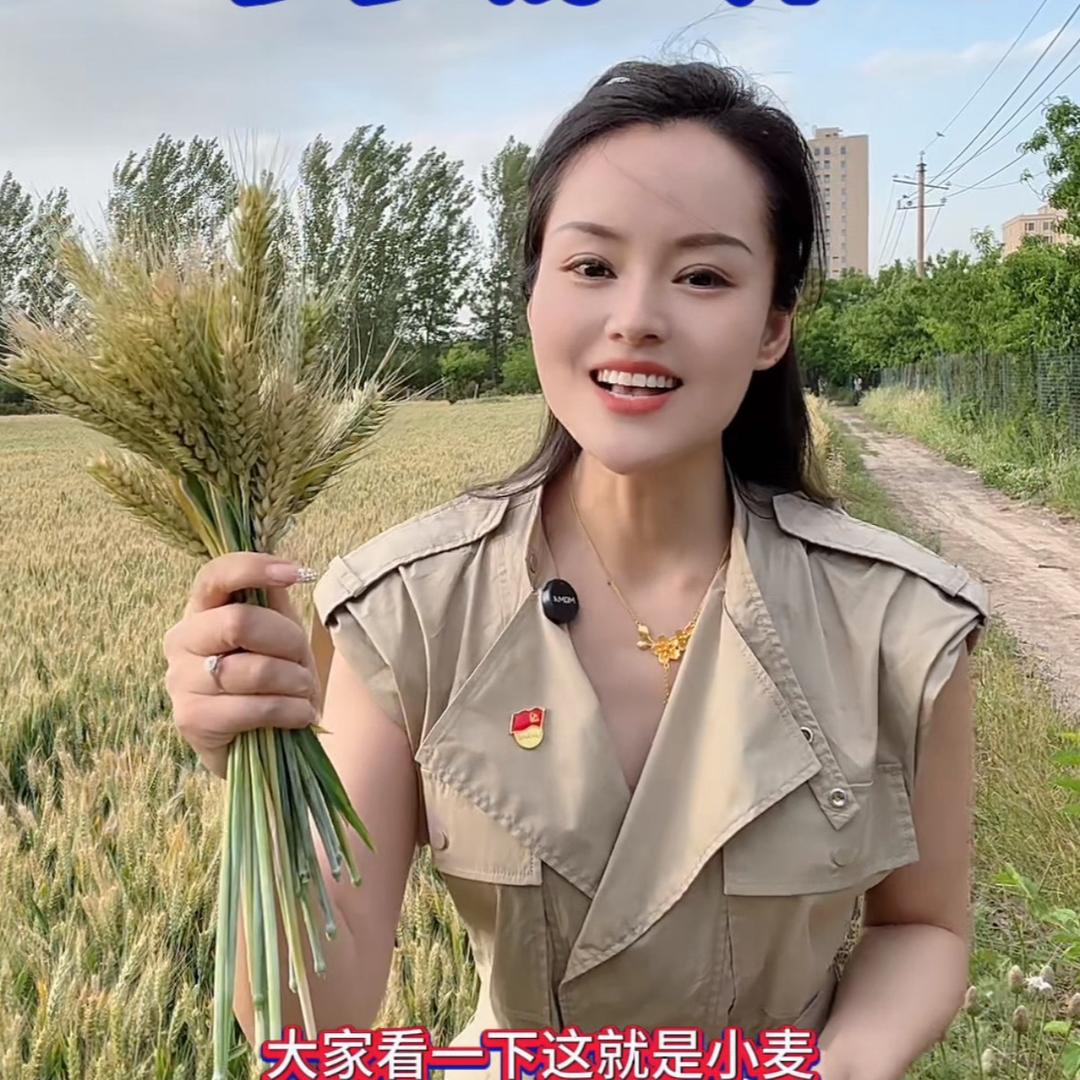 本锁.农业小仙女