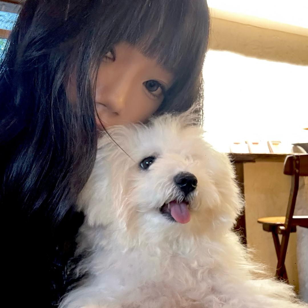 兔尾巴炸了