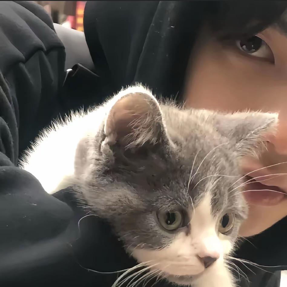 薛定谔的猪