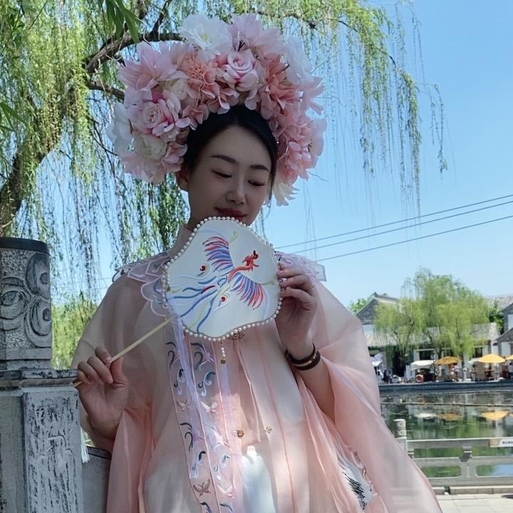 燕舞飞扬