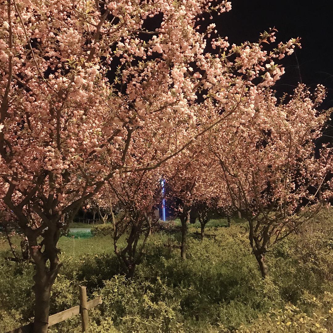 梦想成真《飞虎队》