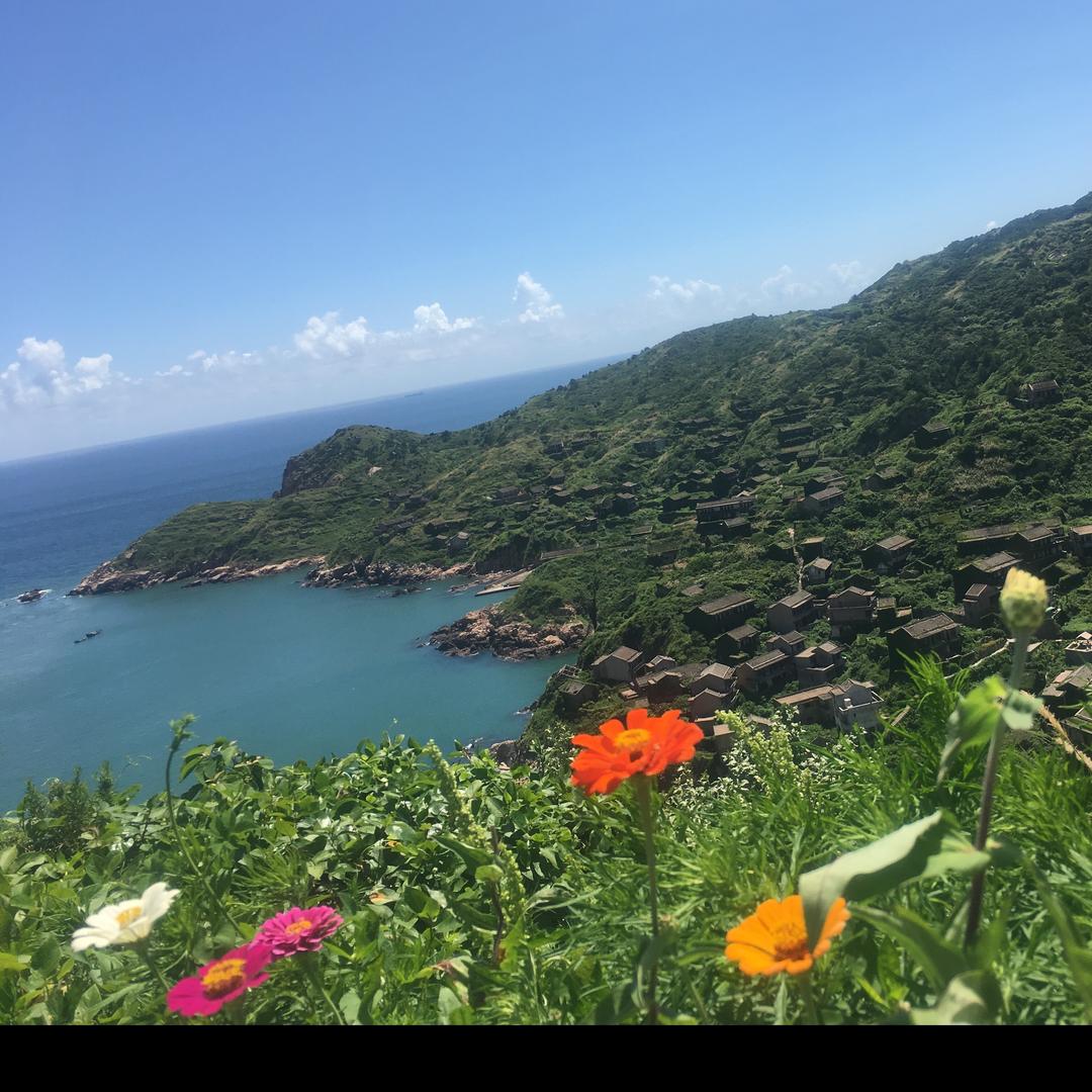 向日葵🌻……