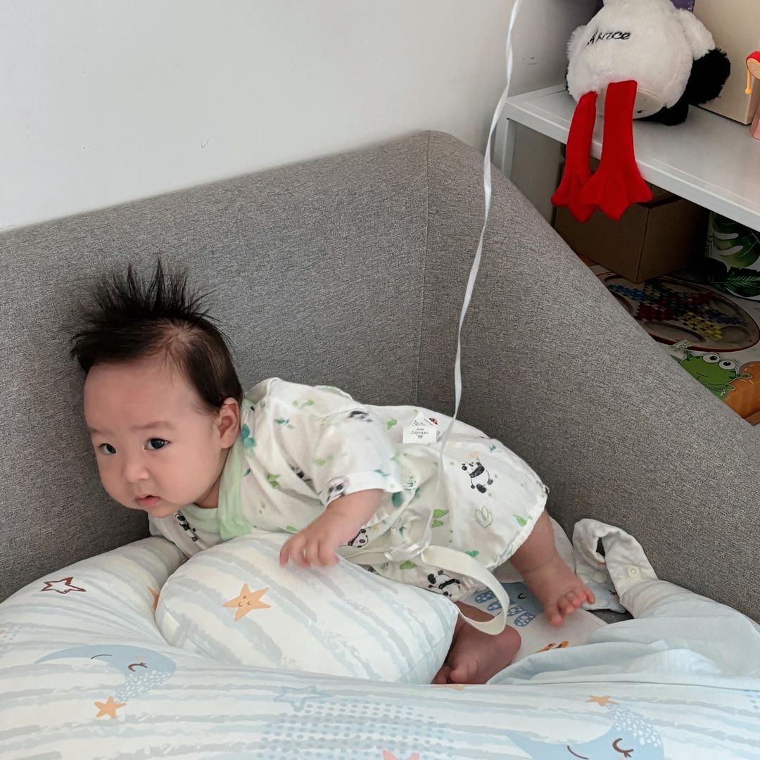小熊仔成长记