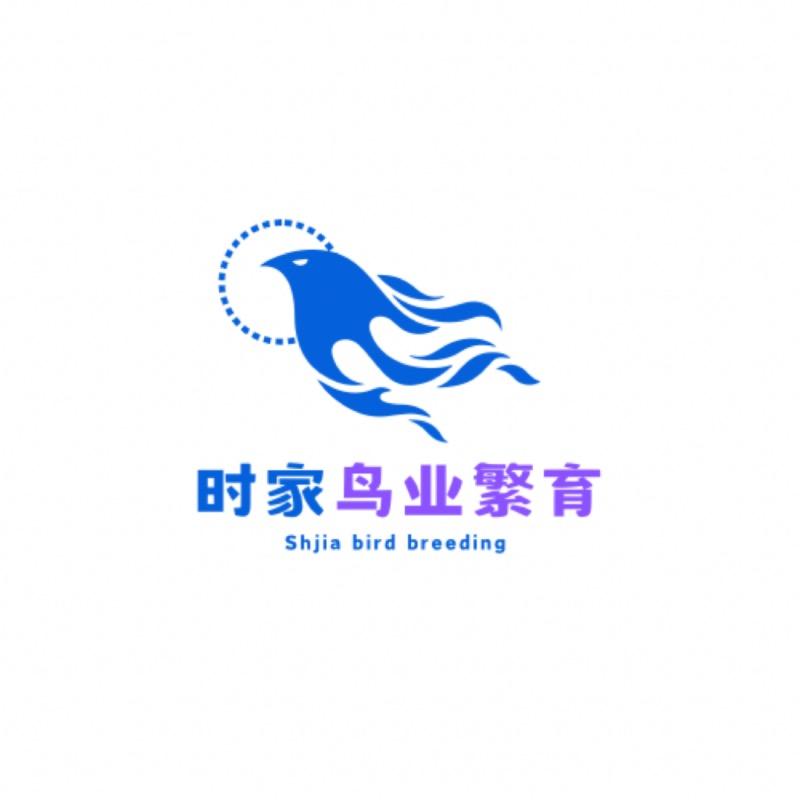 39598296740