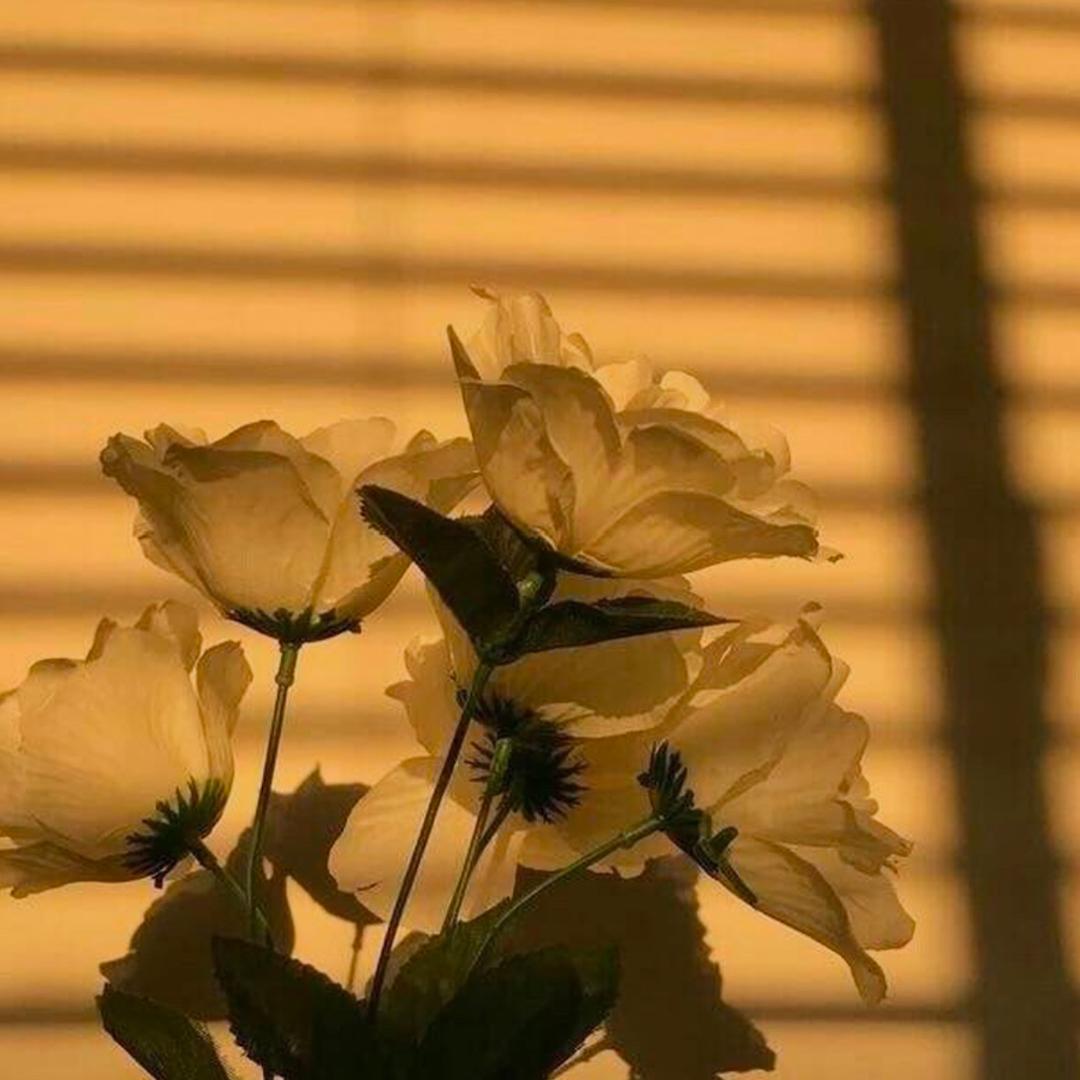 小张今天吃了嘛