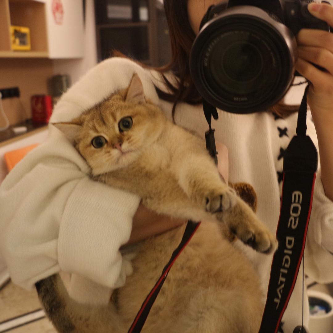 小丑竟是我自己🤡