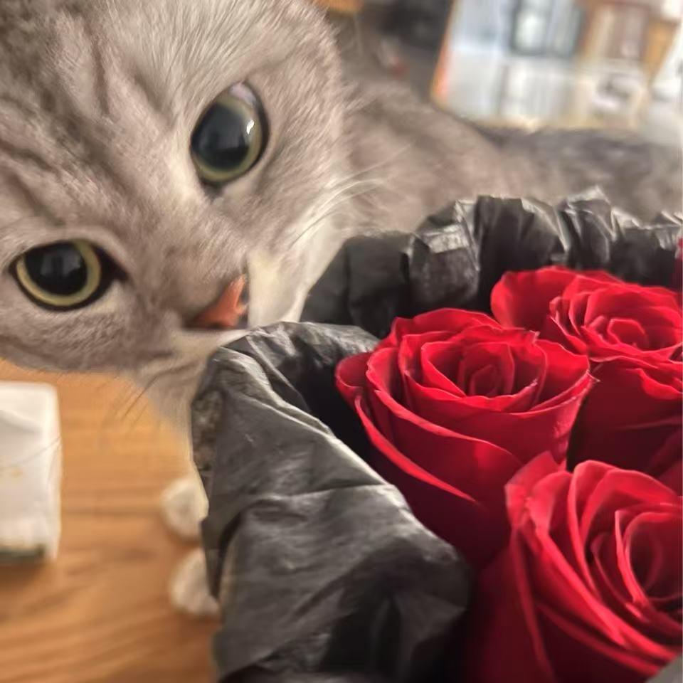 用户我就是何百万