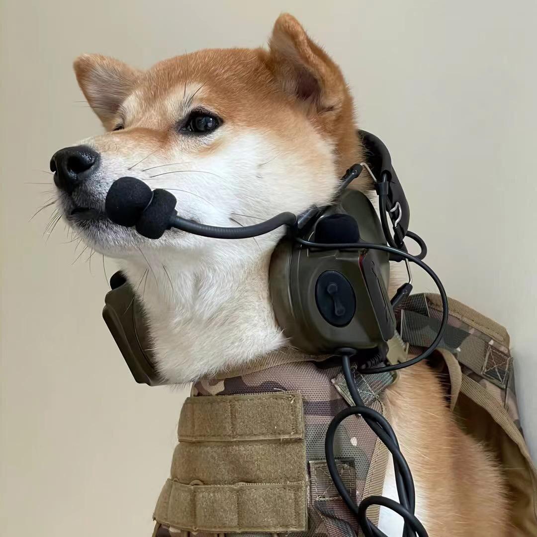 是七鸢北咩（典韦之王）@抖音