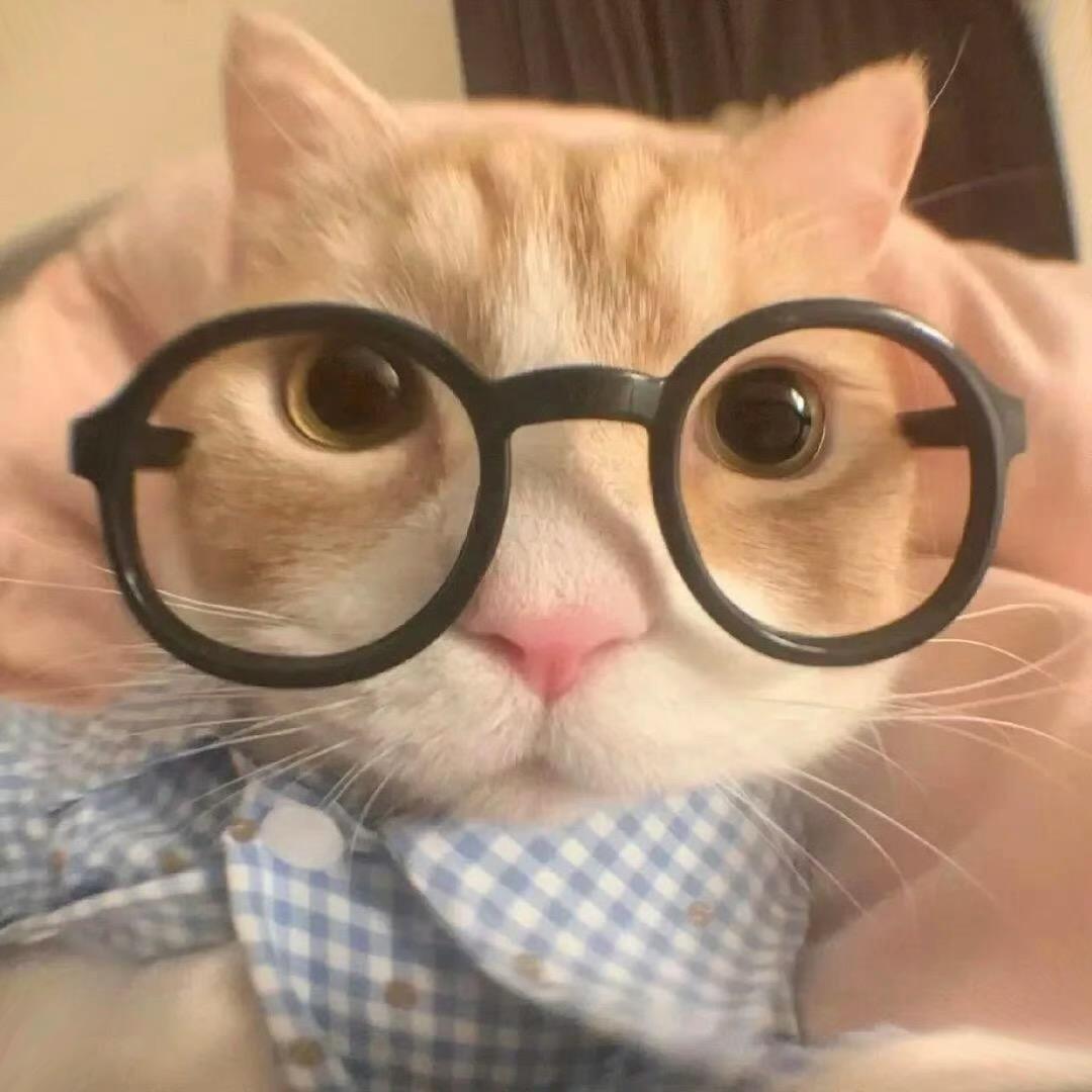 一点点.