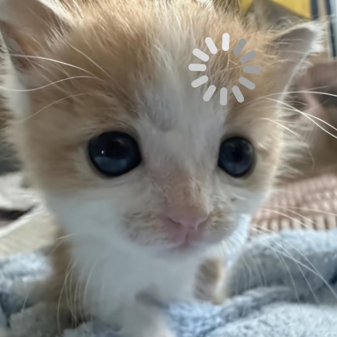 世界上最后一个宝宝