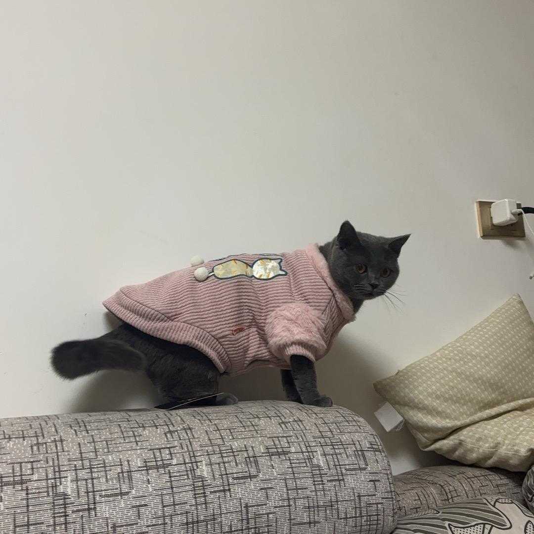 小小琼😎😎