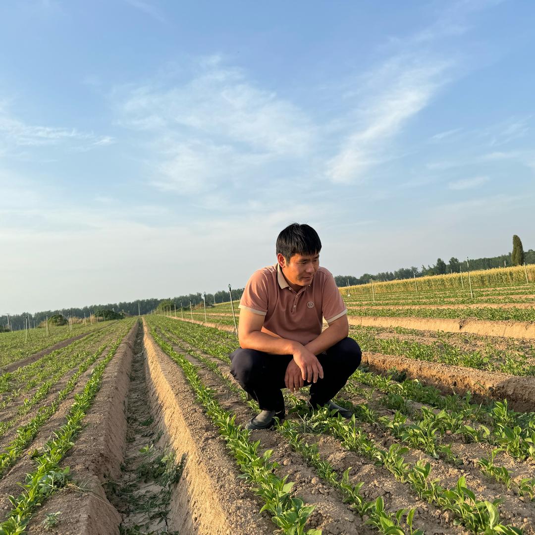 亳州药都中药材种植合作社