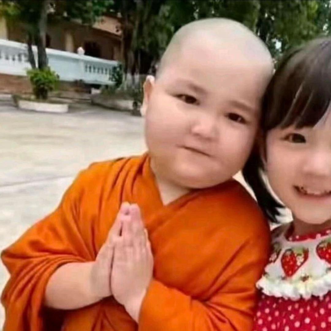 炫酷迷人彩虹公蟑螂