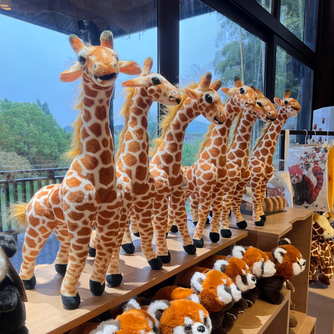 🥳wǒ～💋诗妍